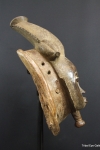 DSCF0566