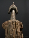 1-DSCF1964