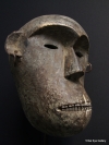 1-DSCF6313